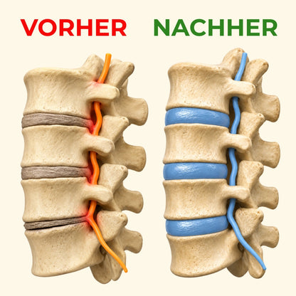 VertoFlow 3-Zonen Tiefenmassagegerät